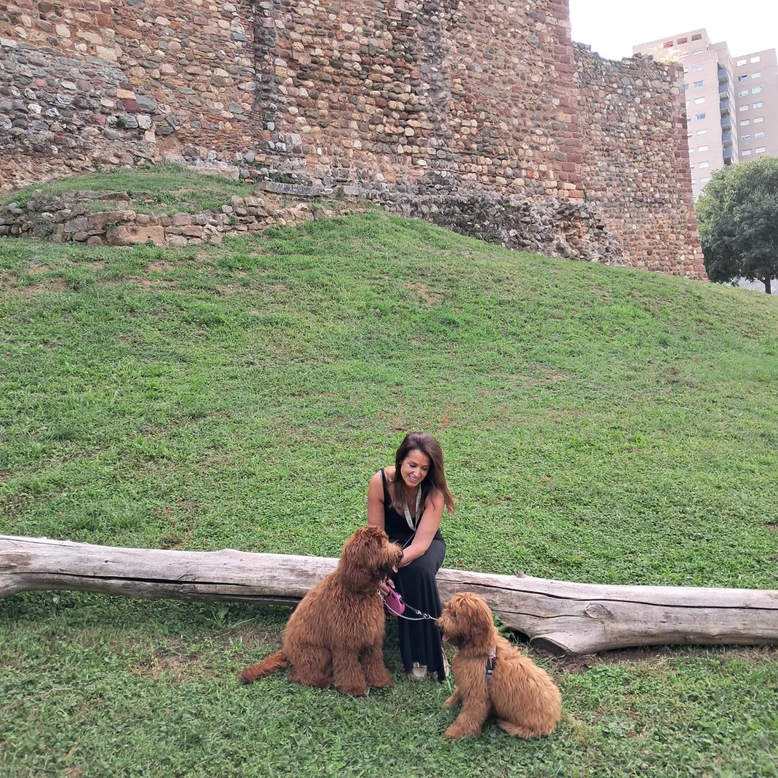 Cobberdog terapéutico con su familia